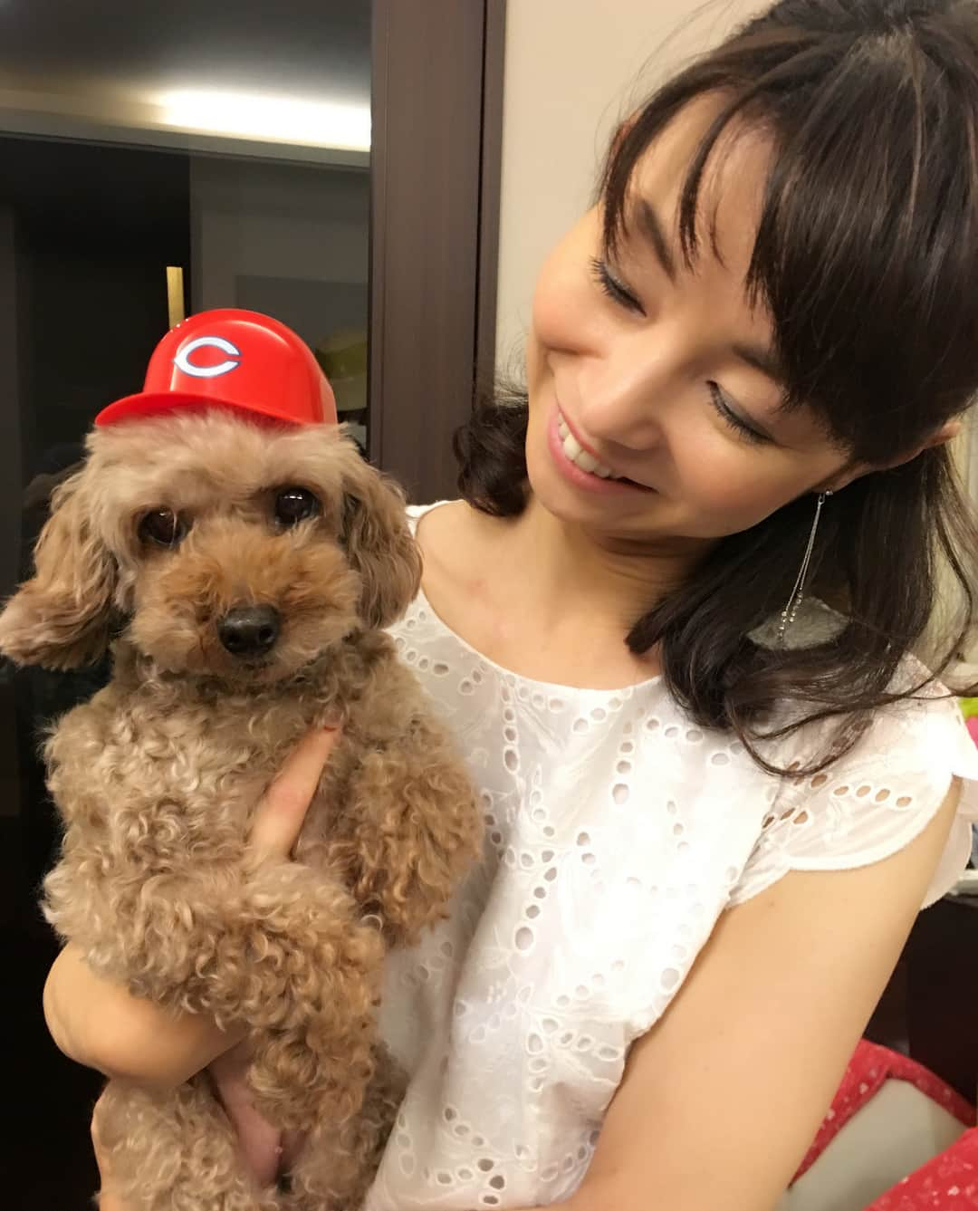 荒生暁子さんのインスタグラム写真 - (荒生暁子Instagram)「カープ女子ここにも🐶 カープアイスのヘルメット ちょうどいいサイズなのね👍 #パコちゃん#トイプードル#トイプードル女の子#愛犬#ペット#娘のような存在  #カープ女子#カープわんこ」8月27日 23時17分 - akikoarao0904