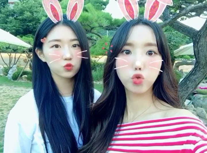 POTENのインスタグラム：「@jjeonghyeji  @jin_iny21 🐰🐰」