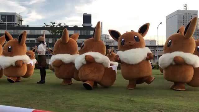 のインスタグラム：「意味はないけど共有しちゃいます。かわいすぎて、イーブイ❤︎ずっと動画見ていられる〜！！ #プロジェクトイーブイ#イーブイの大行進#ポケモン世代」