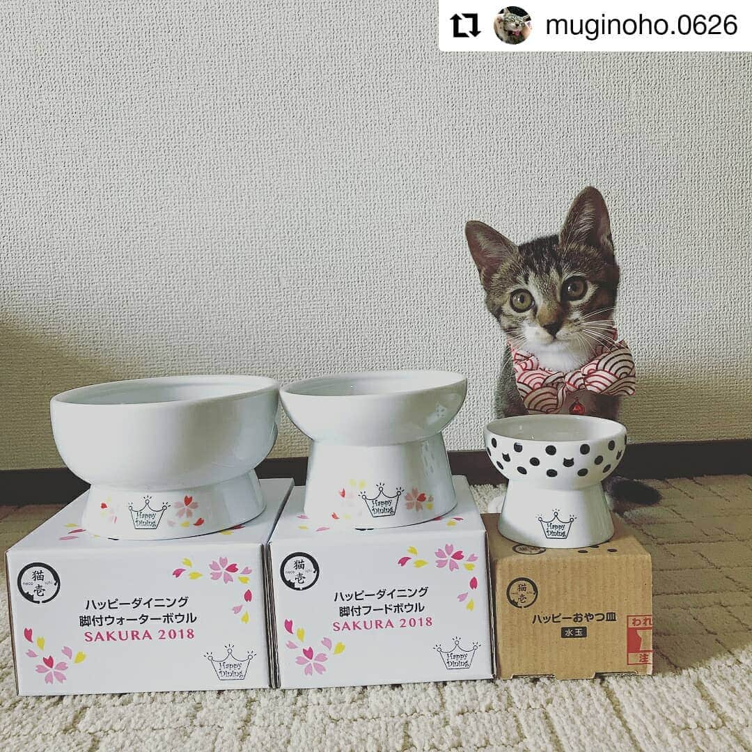 猫壱（ねこいち•ネコイチ）さんのインスタグラム写真 - (猫壱（ねこいち•ネコイチ）Instagram)「【Instagramに投稿して猫壱商品を貰っちゃおう】 #ハッピーダイニングSAKURA 春生まれの子にどうですか？ ▫ ▫ #なんて #広告ができちゃいそう🎵 ▫ ▫ :::::::::#猫壱 ::::::: #猫壱キャンペーン 8月は#ハッピーダイニング 限定柄・企画品 が対象です👍 お持ちの皆様、ぜひご応募くださいね❤ ▫ ▫ Instagramに登場した商品はプロフィールのリンクよりご覧いただけます🎶 気になる方は @necoichicojp からチェックしてくださいね❤ ▫ ▫ #Repost @muginoho.0626 thank-you💕💕💕💕」8月14日 17時21分 - necoichicojp