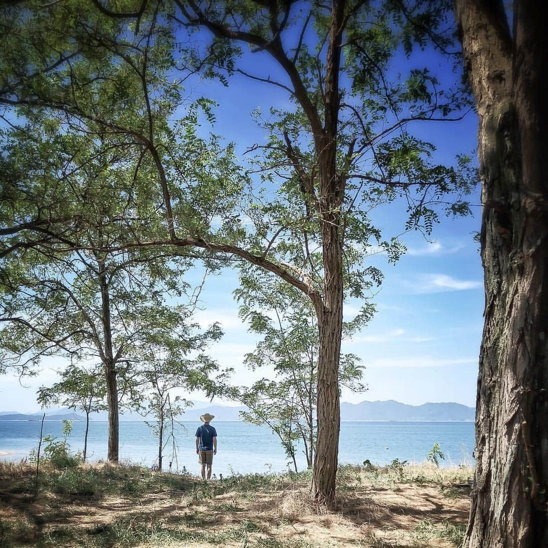 tosa_nishikawaのインスタグラム：「. Summer sea. . . 誰もいない海〜. . . 愛媛県 今治市 . . #tokyo_grapher#instagramjapan#mwjp#youmobile#igersjp#indies_gram#shootermag_japan#photooftheday#ink361_asia#iPhoneonly#setouchigram77 #screen_archive#indy_photolife #奥行き人 #愛媛#ehime #shikoku_trip #ほふく撮影隊 #daily_photo_jpn #incredible_shot #lines_and_points」