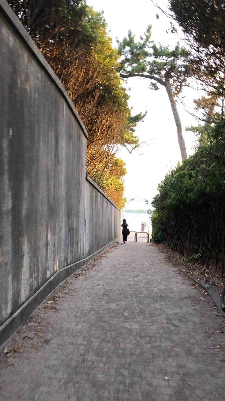 leo7000のインスタグラム