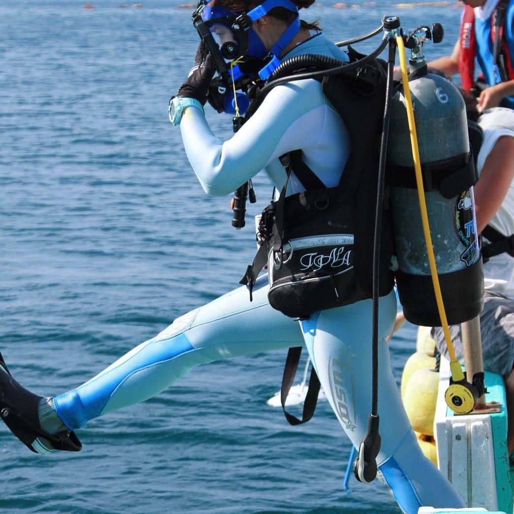 大家志津香さんのインスタグラム写真 - (大家志津香Instagram)「. 東京湾大調査3 . 見てくれてますかー？？ 放送中ですよー。 . . #潜る仕事幸せ #泳ぎ方がに股 #潜水士の免許 #持ってますよろしくお願いします」8月14日 20時07分 - ooyachaaan1228