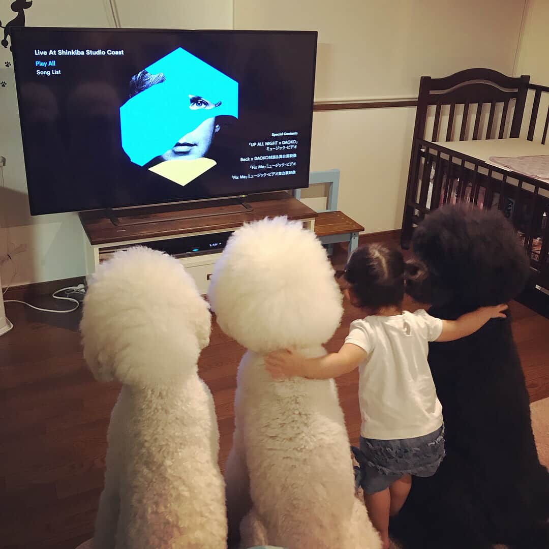 たまねぎのインスタグラム