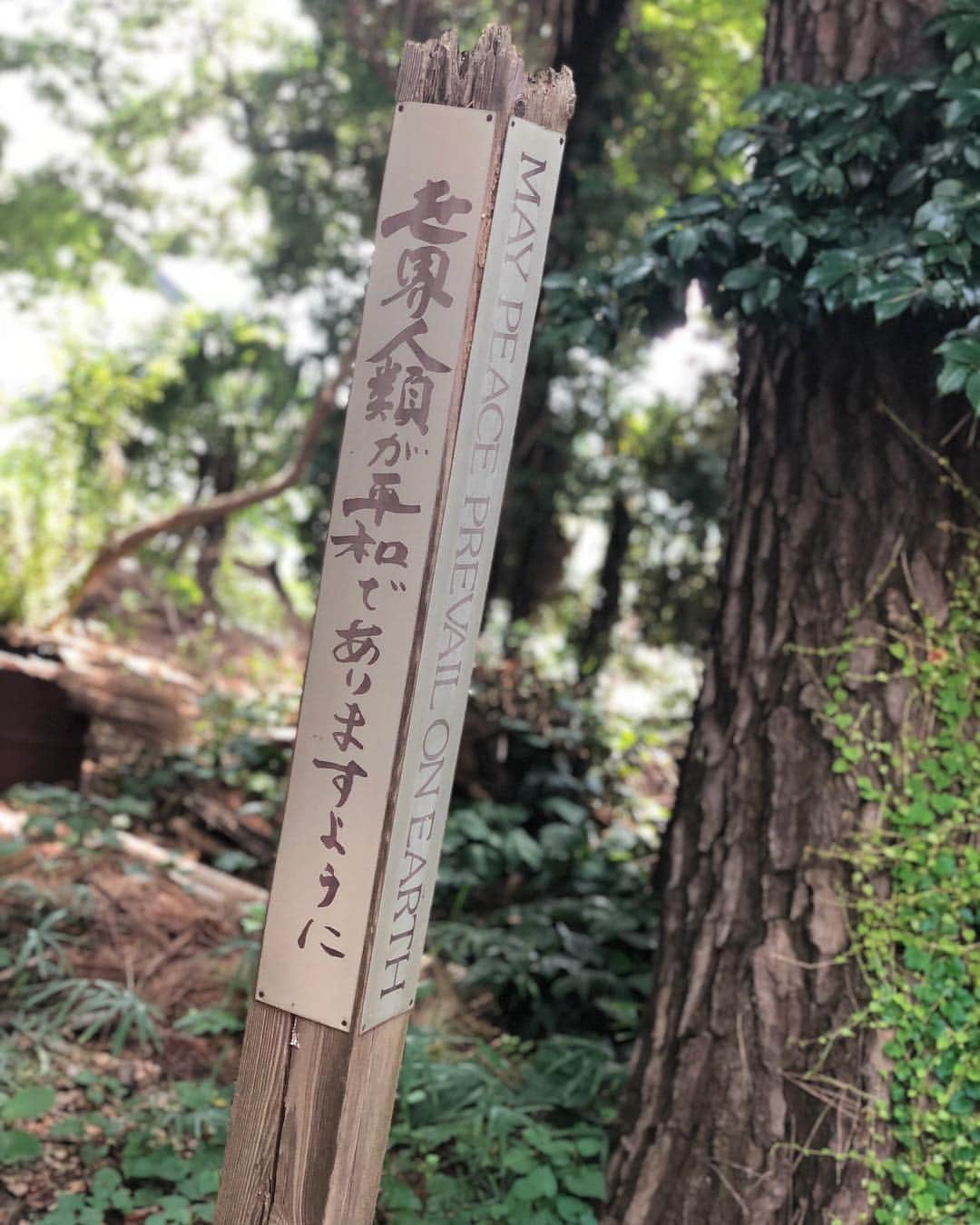 のインスタグラム：「あの娘に恋して あんたに惚れて あなたと分かち合えば」
