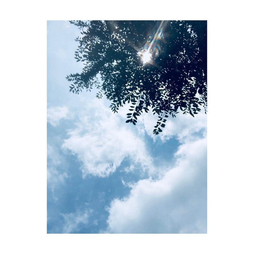 堤礼実さんのインスタグラム写真 - (堤礼実Instagram)「. この先も青空が続きますように . この時代の日本に生きるという事。 日常に感謝しながら、小さな事でも喜びを感じられる人でありたいと思います。 手を取り合って、想う気持ちを忘れずに、、。 . #8月15日」8月15日 15時18分 - reimi_tsutsumi1123