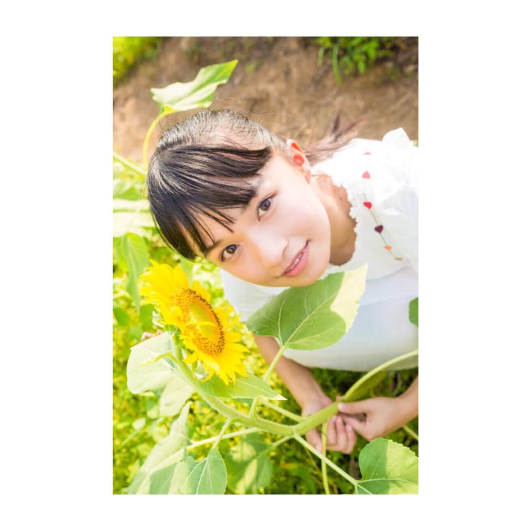 百川晴香さんのインスタグラム写真 - (百川晴香Instagram)「先日、行ったひまわり畑の写真🌻えむろちゃんと一緒に行ったんだ💓ちなみに、PENTAXデビューしてたくさんえむろちゃんの写真撮ったから今度載せるね📷💕百晴 #ひまわり畑 #えむろん #ポートレート #向日葵 #すき」8月15日 18時09分 - momokawaharuka