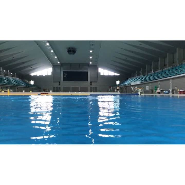 寺内健のインスタグラム：「今日の練習。 #diving#synchro#camp#sagamihara#305 @showsky.22」