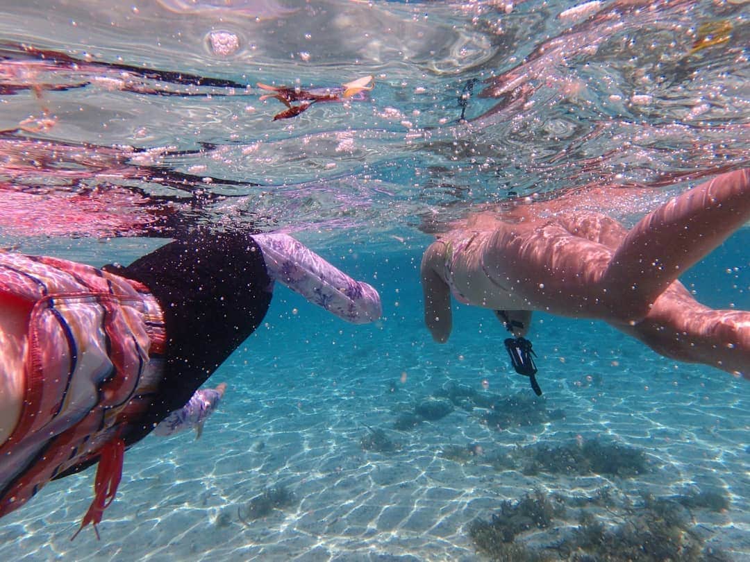 柚月美穂さんのインスタグラム写真 - (柚月美穂Instagram)「#ramdompic . . #snorkeling 🏊 . . ﾀﾞｲﾋﾞﾝｸﾞ後に3ラウンドくらいした。 . . もう水中で写真を撮るのは慣れましたが . それよりも若干 お水怖いｶﾅｽﾞﾁ系タイプなので 足の着かないところに連れられると すぐあたふた。 . . チーム#やりすぎコージー #旅 . #Philippine #🇵🇭 #cebu #cebucity #マクタン島 #Mactan #LapuLapu #newtown . #Sulpa #SulpaIslet #ソルパ島 #無人島 #🏝️ . #シュノーケリング . #📷 #OLYMPUS #tough #olympustough .」8月15日 23時56分 - mihoyuzuki