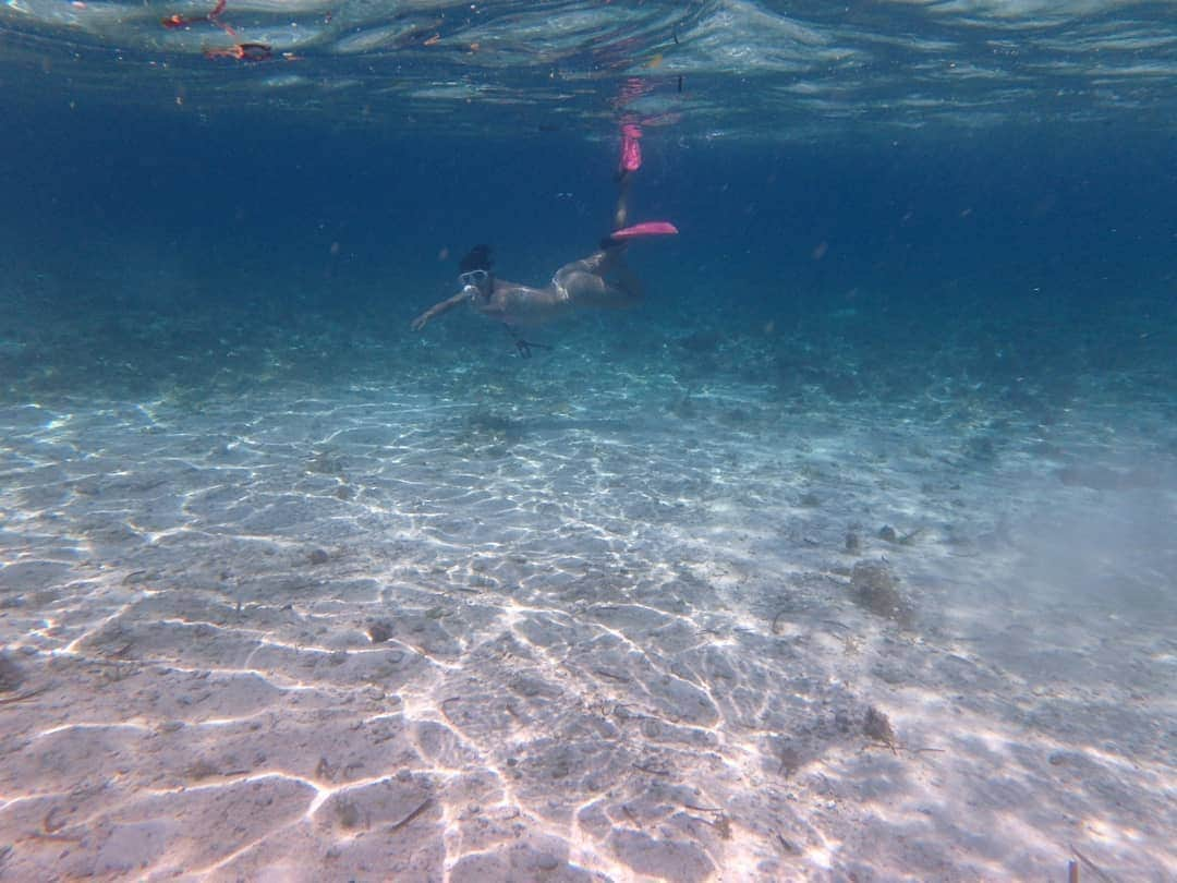 柚月美穂さんのインスタグラム写真 - (柚月美穂Instagram)「#ramdompic . . #snorkeling 🏊 . . ﾀﾞｲﾋﾞﾝｸﾞ後に3ラウンドくらいした。 . . もう水中で写真を撮るのは慣れましたが . それよりも若干 お水怖いｶﾅｽﾞﾁ系タイプなので 足の着かないところに連れられると すぐあたふた。 . . チーム#やりすぎコージー #旅 . #Philippine #🇵🇭 #cebu #cebucity #マクタン島 #Mactan #LapuLapu #newtown . #Sulpa #SulpaIslet #ソルパ島 #無人島 #🏝️ . #シュノーケリング . #📷 #OLYMPUS #tough #olympustough .」8月15日 23時56分 - mihoyuzuki