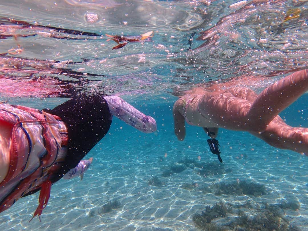柚月美穂のインスタグラム：「#ramdompic . . #snorkeling 🏊 . . ﾀﾞｲﾋﾞﾝｸﾞ後に3ラウンドくらいした。 . . もう水中で写真を撮るのは慣れましたが . それよりも若干 お水怖いｶﾅｽﾞﾁ系タイプなので 足の着かないところに連れられると すぐあたふた。 . . チーム#やりすぎコージー #旅 . #Philippine #🇵🇭 #cebu #cebucity #マクタン島 #Mactan #LapuLapu #newtown . #Sulpa #SulpaIslet #ソルパ島 #無人島 #🏝️ . #シュノーケリング . #📷 #OLYMPUS #tough #olympustough .」