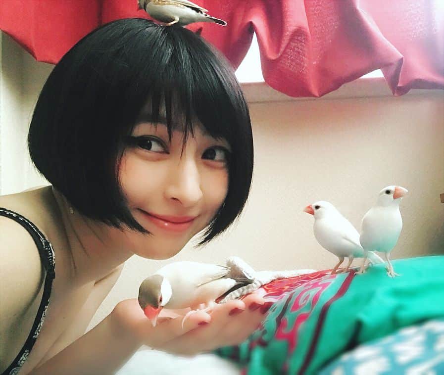 日南響子（珠麟）さんのインスタグラム写真 - (日南響子（珠麟）Instagram)「✴︎ この間早めにお仕事終わって 帰宅直後に撮った写真。 ママがくつろぎ始めるとみんな大集合します。𓅫  #文鳥  #錦華鳥 #白文鳥 #シナモン文鳥」8月16日 1時29分 - kyooko_hinami_official