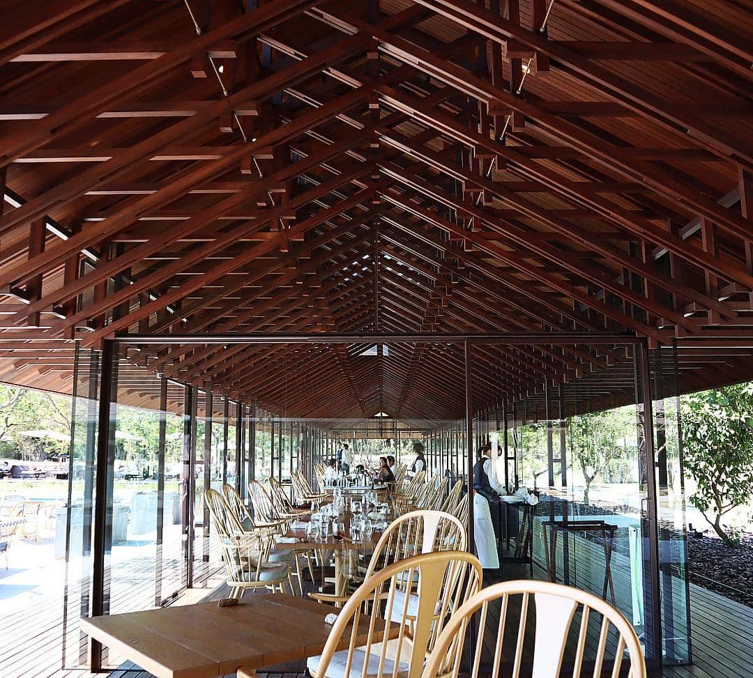 正中雅子のグルメインスタ