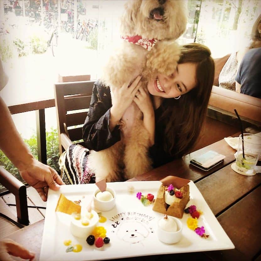 岸本セシルさんのインスタグラム写真 - (岸本セシルInstagram)「とと🐶💛 happy birthday ❣️ とっちゃん、5才になりました！ととがいる生活はとっても楽しくて、みんなに愛されてみんなを笑顔にするとっちゃんが大好き☺️ 従姉妹が東京に遊びにきていて久しぶりの再会😆弟とも久しぶり🤣🌟みんな元気そうでよかった✌️姉安心！  #ivyplace のアイドルみらたん、支配人T郎さん、いつもありがとうございます🙈🙈 #とっちゃんにステキなプレート😭❣️ #人間達が平らげました🤣 #とっちゃんにはワンちゃん用のおやつ #ivyplace #とっちゃんの親友 #ありがとう」8月16日 18時55分 - cecil_lu