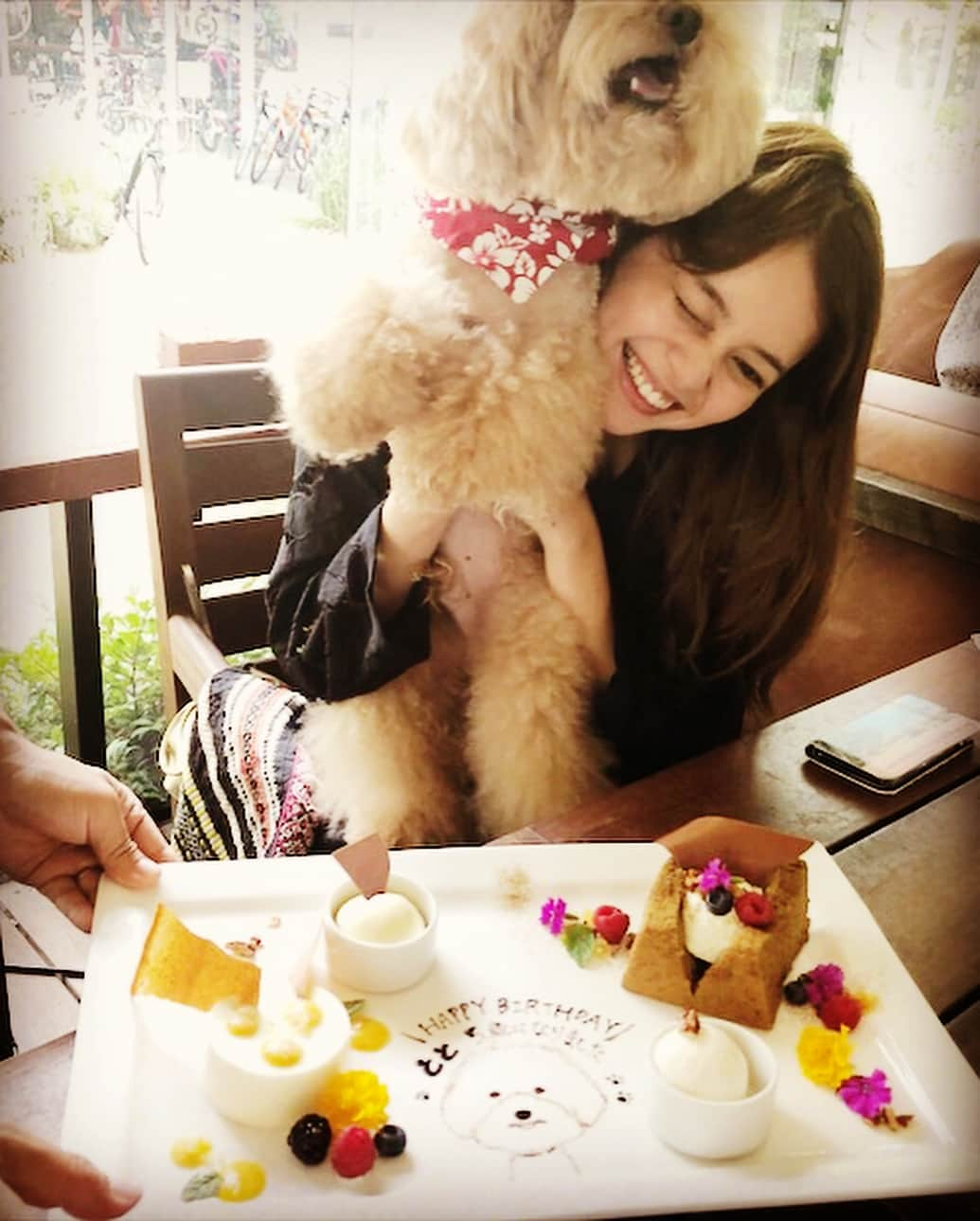 岸本セシルさんのインスタグラム写真 - (岸本セシルInstagram)「とと🐶💛 happy birthday ❣️ とっちゃん、5才になりました！ととがいる生活はとっても楽しくて、みんなに愛されてみんなを笑顔にするとっちゃんが大好き☺️ 従姉妹が東京に遊びにきていて久しぶりの再会😆弟とも久しぶり🤣🌟みんな元気そうでよかった✌️姉安心！  #ivyplace のアイドルみらたん、支配人T郎さん、いつもありがとうございます🙈🙈 #とっちゃんにステキなプレート😭❣️ #人間達が平らげました🤣 #とっちゃんにはワンちゃん用のおやつ #ivyplace #とっちゃんの親友 #ありがとう」8月16日 18時55分 - cecil_lu