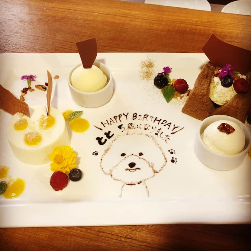 岸本セシルさんのインスタグラム写真 - (岸本セシルInstagram)「とと🐶💛 happy birthday ❣️ とっちゃん、5才になりました！ととがいる生活はとっても楽しくて、みんなに愛されてみんなを笑顔にするとっちゃんが大好き☺️ 従姉妹が東京に遊びにきていて久しぶりの再会😆弟とも久しぶり🤣🌟みんな元気そうでよかった✌️姉安心！  #ivyplace のアイドルみらたん、支配人T郎さん、いつもありがとうございます🙈🙈 #とっちゃんにステキなプレート😭❣️ #人間達が平らげました🤣 #とっちゃんにはワンちゃん用のおやつ #ivyplace #とっちゃんの親友 #ありがとう」8月16日 18時55分 - cecil_lu