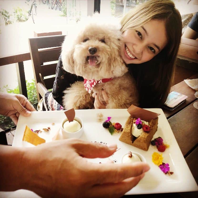 岸本セシルのインスタグラム：「とと🐶💛 happy birthday ❣️ とっちゃん、5才になりました！ととがいる生活はとっても楽しくて、みんなに愛されてみんなを笑顔にするとっちゃんが大好き☺️ 従姉妹が東京に遊びにきていて久しぶりの再会😆弟とも久しぶり🤣🌟みんな元気そうでよかった✌️姉安心！  #ivyplace のアイドルみらたん、支配人T郎さん、いつもありがとうございます🙈🙈 #とっちゃんにステキなプレート😭❣️ #人間達が平らげました🤣 #とっちゃんにはワンちゃん用のおやつ #ivyplace #とっちゃんの親友 #ありがとう」