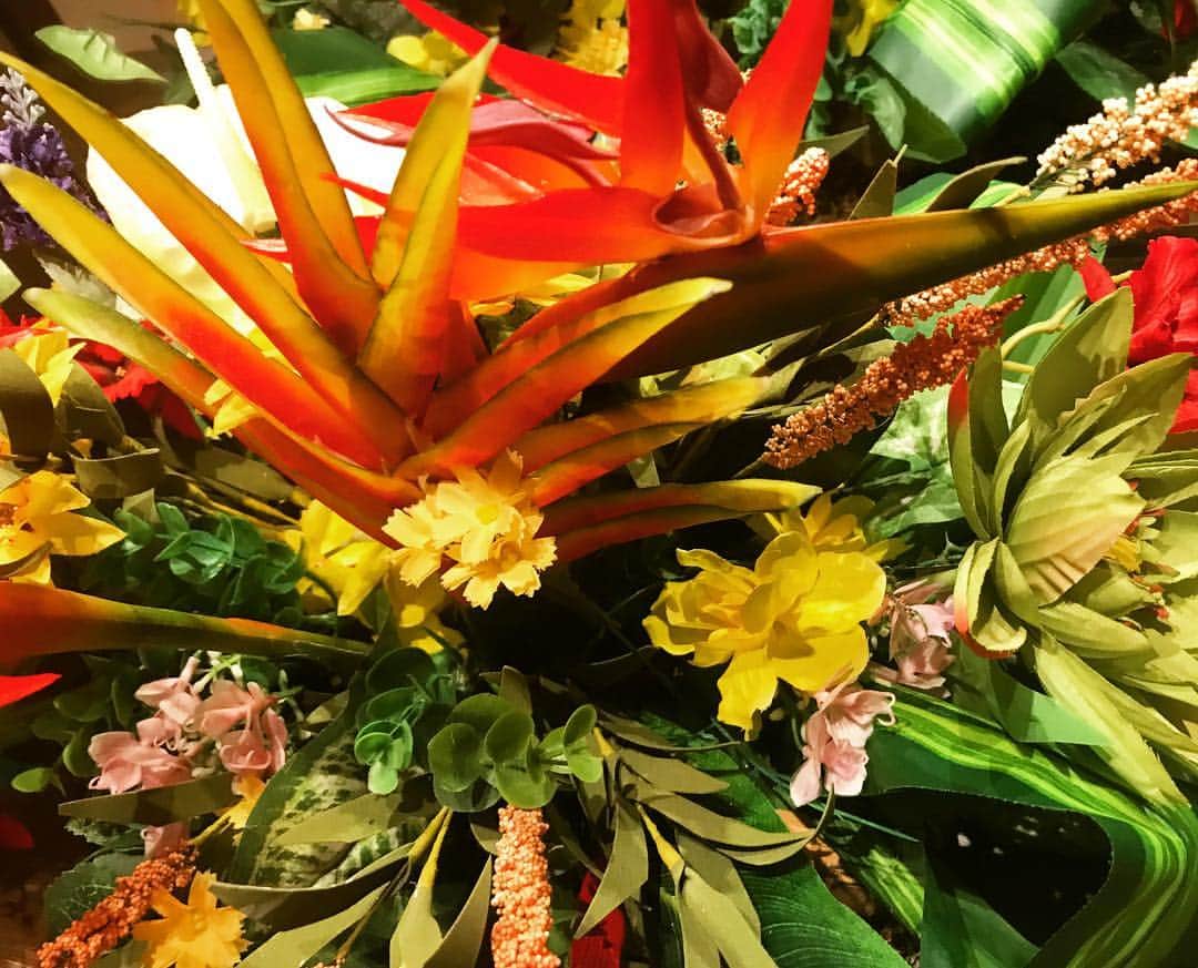 のインスタグラム：「🌺🌼🌸」