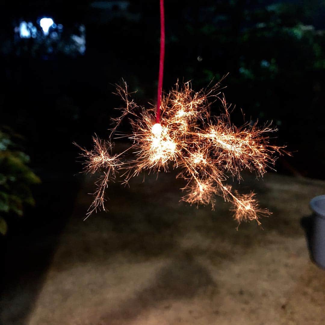 のインスタグラム：「ことし最後の線香花火。  #線香花火  #花火  #夏」