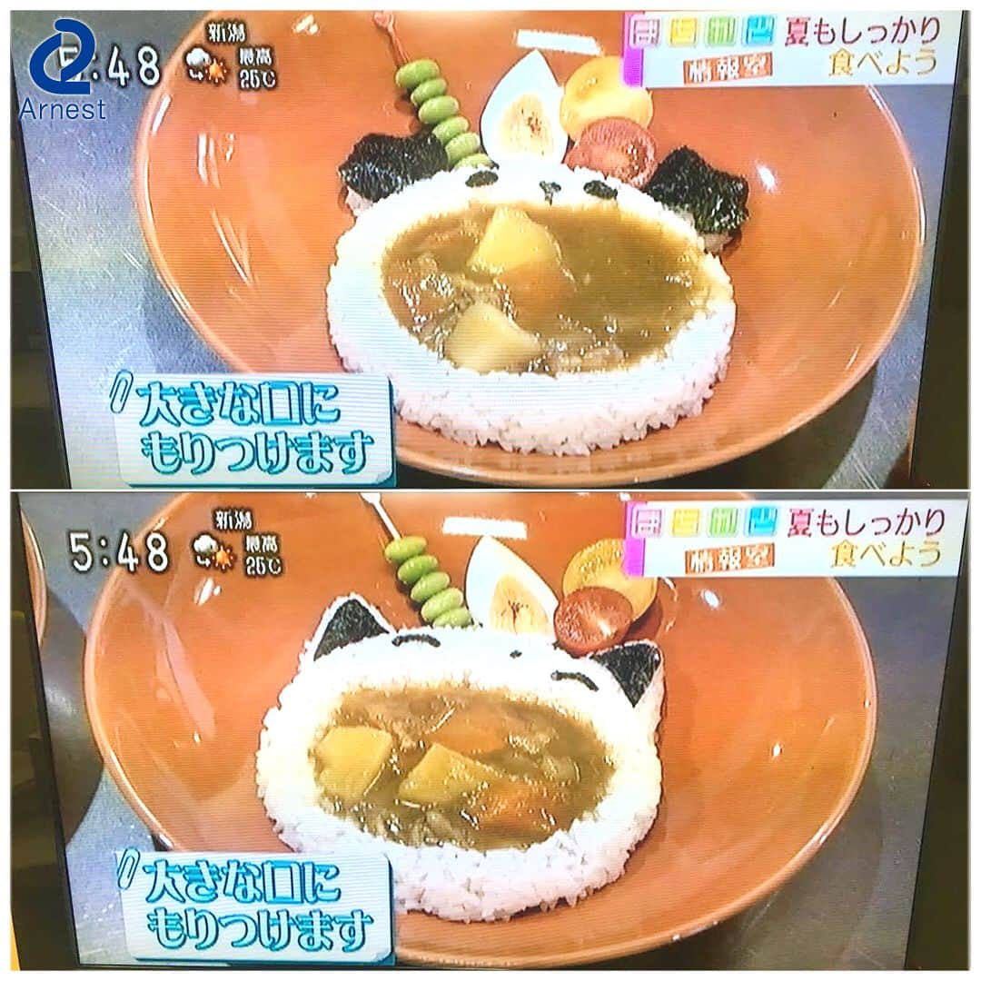 のインスタグラム：「大人気のご飯型、myフォルム3あーん!ぱくっ!を、NHKまちかど情報室さんで取り上げていただきました。 まだまだ暑い夏が続きますが、夏を乗り切るにはやっぱりカレーライス！ いつものカレーライスが可愛い動物に大変身します！  #Arnest#ArnestInc#アーネスト#アーネスト株式会社#すまいる雑貨  #myフォルム3あーん!ぱくっ!  #NHK#おはよう日本#まちかど情報室  #カレーライス #カレー」
