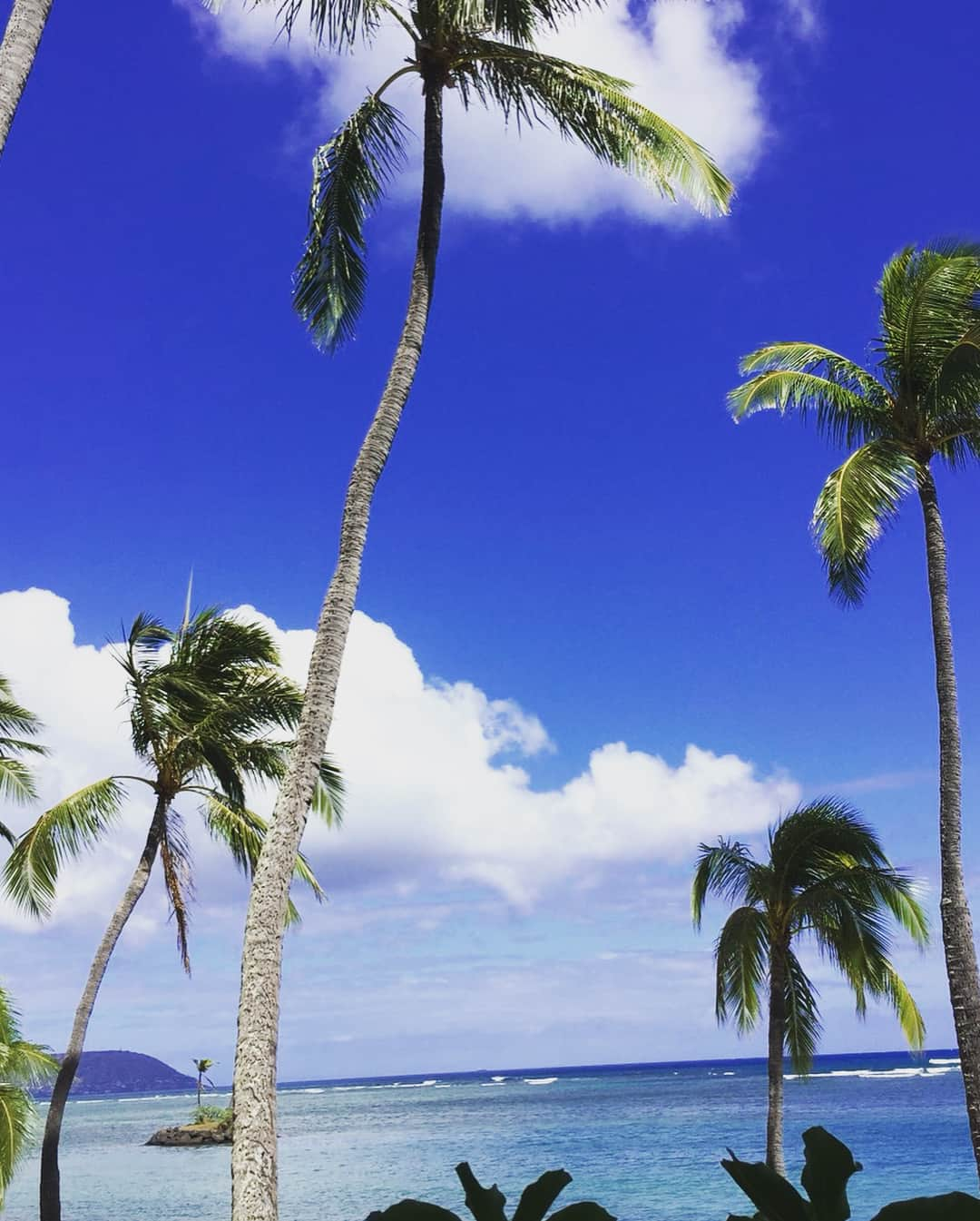 萬田久子さんのインスタグラム写真 - (萬田久子Instagram)「アロハ〜🤙🌈🌴 #ハワイ #青空 #赤ワンピ #ハット #ヨットハーバー #萬田久子」8月17日 13時16分 - hisako.manda_official