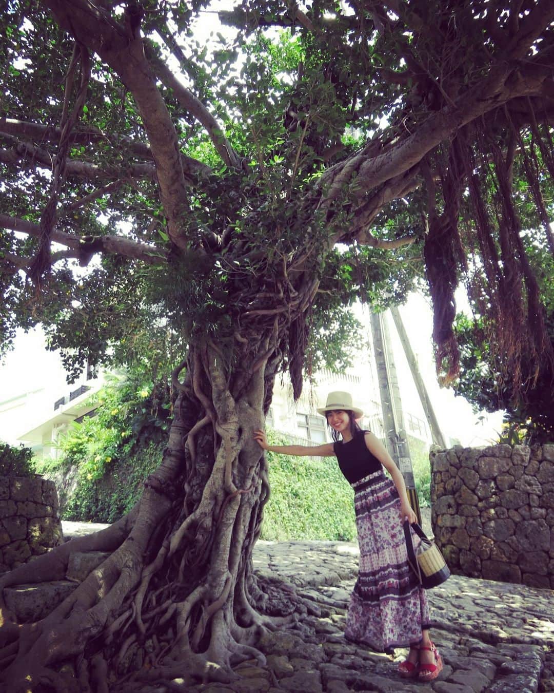 瀧本美織のインスタグラム：「明日朝8時〜みてね🤗🌴 #旅サラダ#沖縄#okinawa#ガジュマル」
