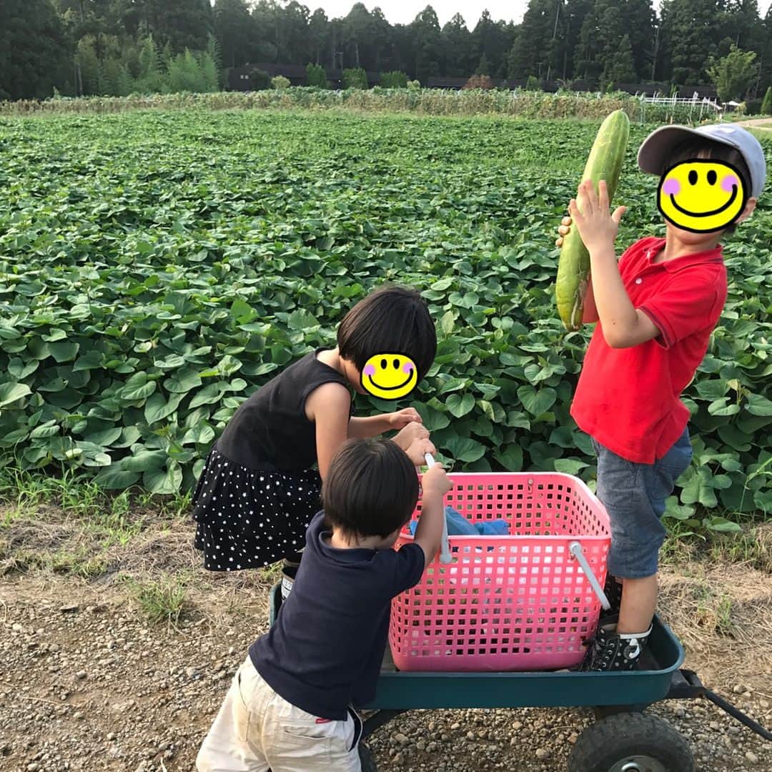 小倉優子さんのインスタグラム写真 - (小倉優子Instagram)「８月も畑で収穫体験をしました😊 収穫体験の後は、虫を捕まえて、収穫したお野菜でバーベキューをして、日帰り温泉に入って帰宅しました✨✨ 自然の中での体験も沢山してほしいと思っています🍒🌼🛶」8月17日 21時46分 - ogura_yuko_0826