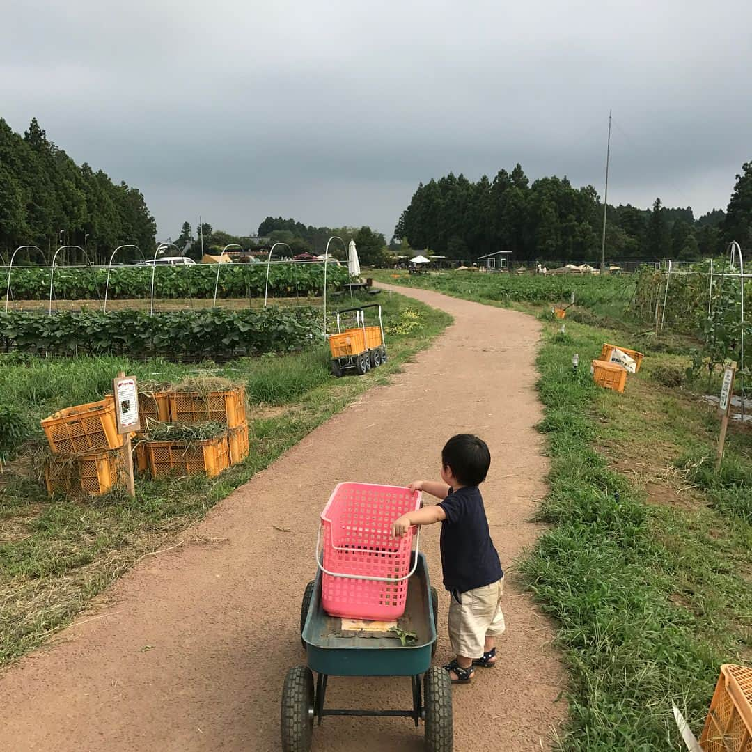 小倉優子さんのインスタグラム写真 - (小倉優子Instagram)「８月も畑で収穫体験をしました😊 収穫体験の後は、虫を捕まえて、収穫したお野菜でバーベキューをして、日帰り温泉に入って帰宅しました✨✨ 自然の中での体験も沢山してほしいと思っています🍒🌼🛶」8月17日 21時46分 - ogura_yuko_0826