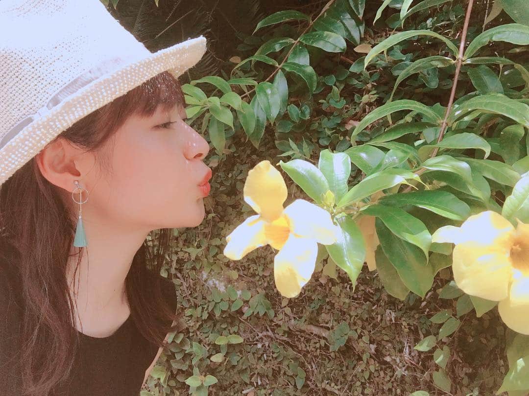 瀧本美織のインスタグラム：「🌺🌻🌸🌹 #明日#旅サラダ#沖縄#okinawa」