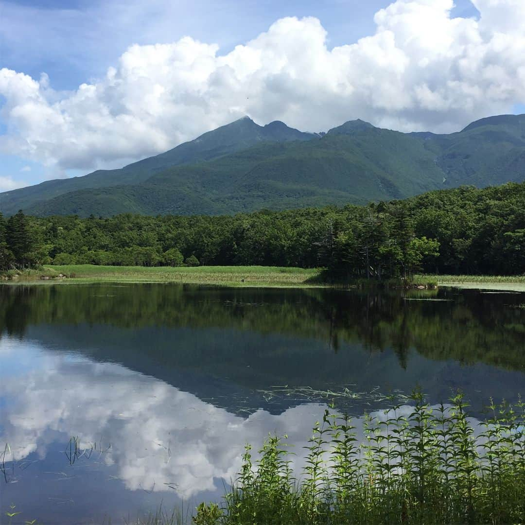 伊沢千夏のインスタグラム：「夏を楽しんでいますわ🌲🎐🍺👙🏊‍♀️」