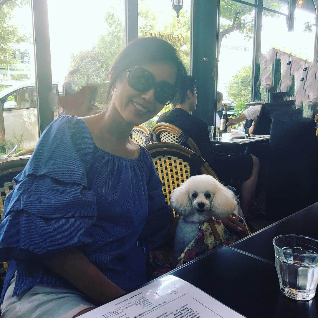 早見優さんのインスタグラム写真 - (早見優Instagram)「Lunch with Snowy スノさんとランチ #lunchwithdog #poodle #dog #cafe」8月18日 13時12分 - yuyuhayami