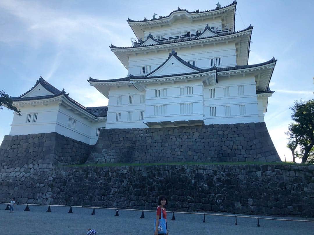 鍋本帆乃香のインスタグラム：「#小田原城  旅っQぶりでした」