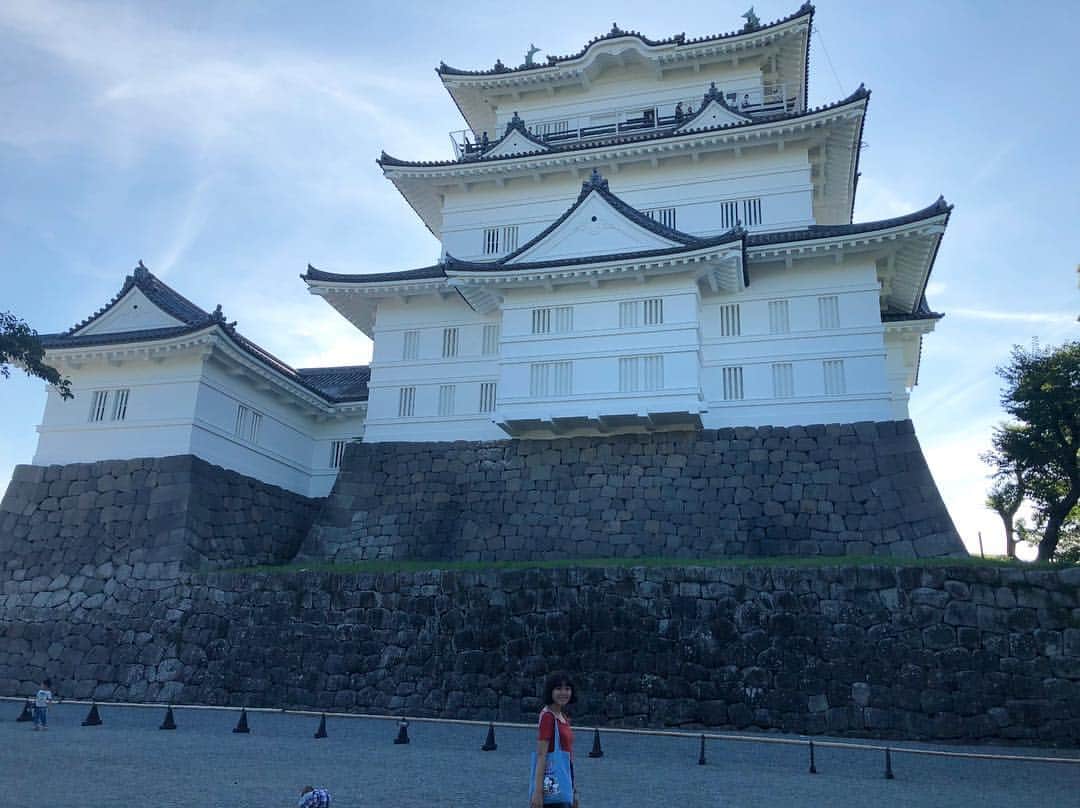 のインスタグラム：「#小田原城  旅っQぶりでした」