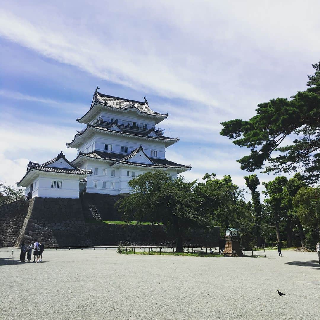 酒井泰滋さんのインスタグラム写真 - (酒井泰滋Instagram)「これは美味しい。特に肝、絶品。 他は、流れでの緑とお城。 #友栄 #小田原城」8月18日 15時51分 - tai_z28