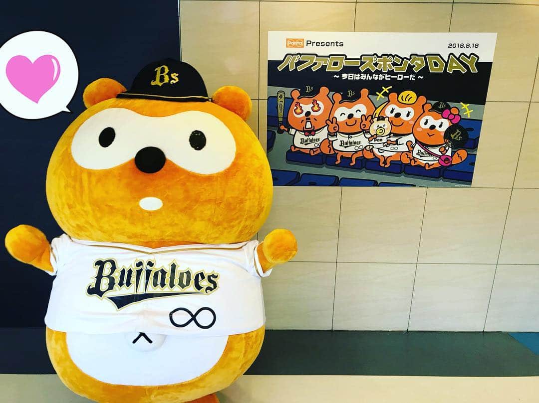 ポンタのインスタグラム：「ヒーローになりたいな⚾️ #バファローズポンタデー #バファポンヒーロー #ポンタ #オリックスバファローズ #ponta」