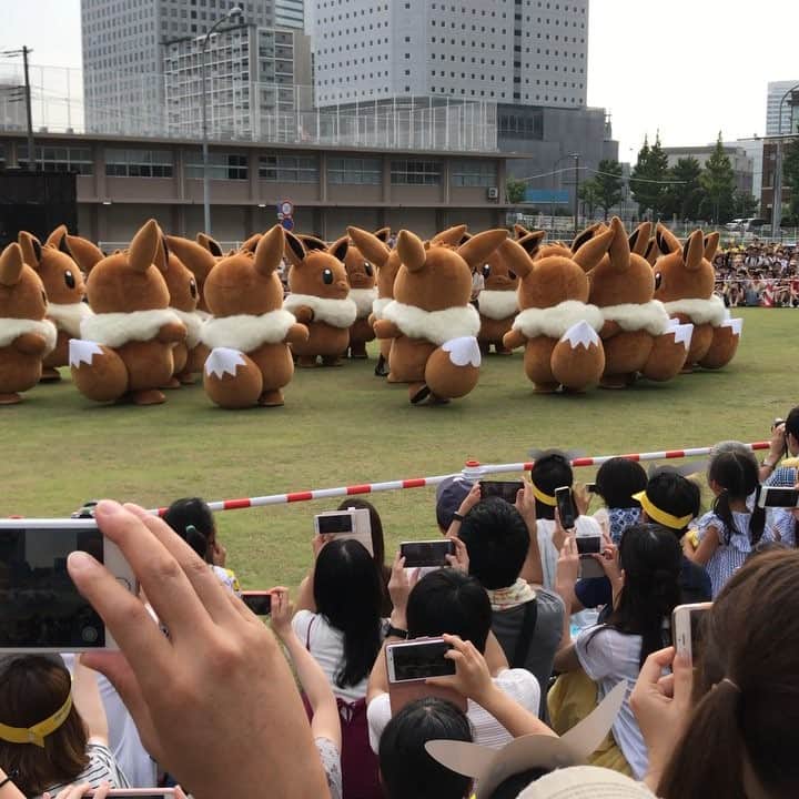 増田順一のインスタグラム：「横浜ピカチュウ大量発生チュウのイーブイ大行進！マイムマイム！ #eevee #letsgo #letsgoeevee #yokohama #mayimmayim」