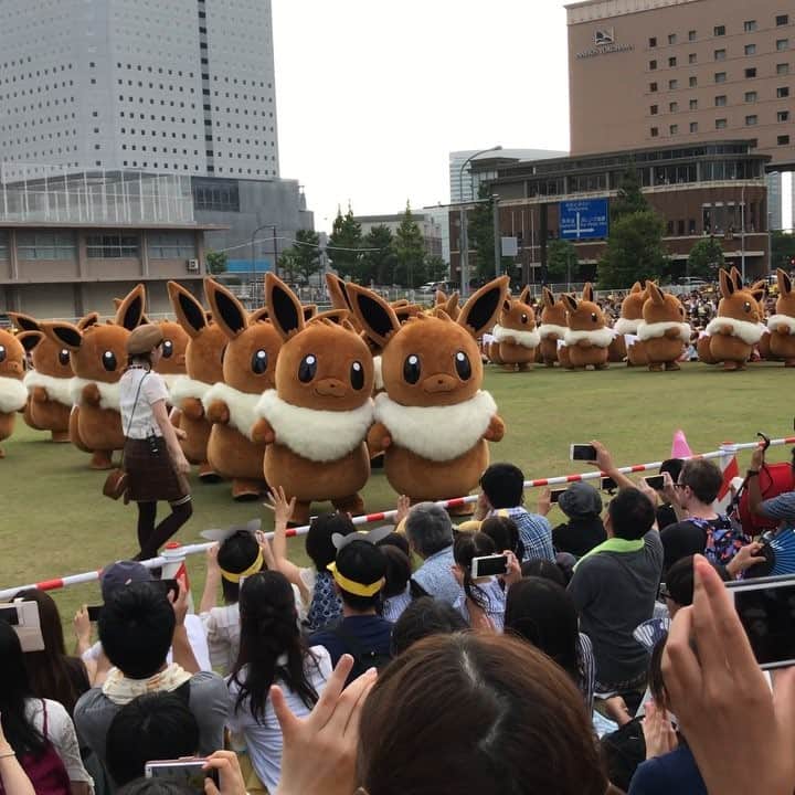 増田順一のインスタグラム：「横浜ピカチュウ大量発生チュウのイーブイ大行進！ありがとうイーブイ！ #eevee #letsgo #letsgoeevee #yokohama」