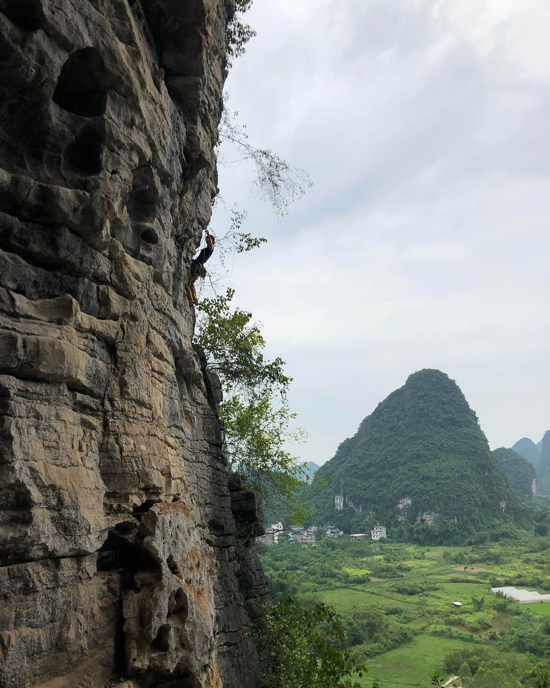 植田夢月さんのインスタグラム写真 - (植田夢月Instagram)「・ Climbing Trip in Yangshuo, China  PART1 ・ I and husband visited our friend working in China, and enjoyed climbing in Yangshuo for 4 days (+1 hour). There is a huge amount of limestone walls close to the town. ・ Of course, the summer is not a good season for climbing. It was sooooo hot and humid. I had tons of sweat; climbing 1 route ≒ bathing 2 times.... I'm not exaggerating. ・ Anyway, these pictures are of "Treasure Cave". It was my first experience to climb between such big tufas. So exciting. ・ ・ 中国で働いてる友人と一緒に、中国は陽朔へクライミングしに行ってきました。陽朔は桂林から車で1.5時間くらいのとこにある観光地で、街の周りはありったけの石灰岩の壁！ ・ 暑いだろうと覚悟はしてたけど、ほんとに暑かった。滝汗とはこのことで、1回ルートを登るごとに入浴2回分くらいの汗。自分から垂れて来た汗でホールドが濡れてた。 ・ 写真はトレジャーケイブ。風が通り抜けて、比較的過ごしやすかった。でかいコルネを渡ってく、これぞライムストーンなルートが登れて満足！ ・ pic1: me on the "Trou Sec en Milleu Humide" / 5.11c MOS✌️ pic2: from inside of the cave pic3: husband on the "Hanging Out in China" / 5.12d (c?) pic4: Shinju on the "Corner Bug Zoom" / 5.10b ・ #yangshuo #yangshuoclimbing #limestone #limestoneclimbing #climbinginchina」8月19日 15時51分 - dream_moco