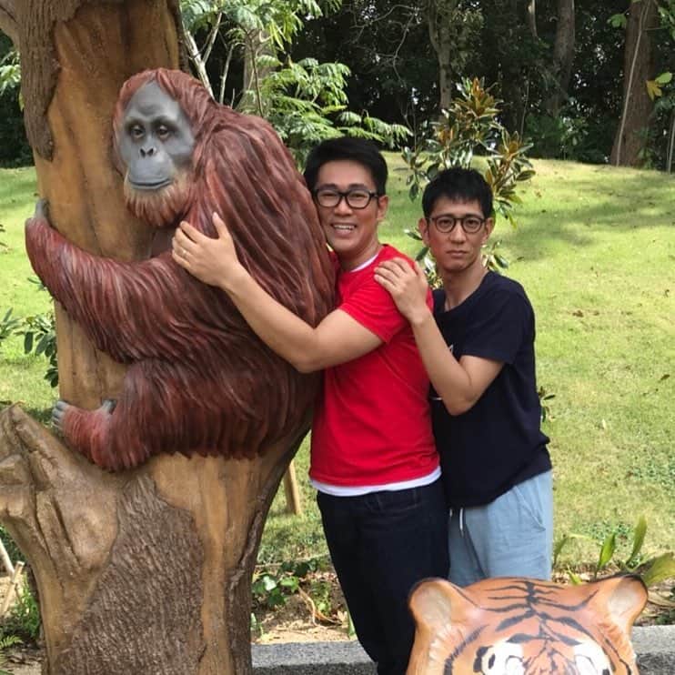 のインスタグラム：「進化  #オランウータンで、 #ゴリラで、 #チンパンジー #この３頭が並ぶ奇跡の１枚 #とか言いながら盛り上がる黒眼鏡で40半ばのおじさん #大木 #同期 #元気 #のんほいパークで見れます（笑）」