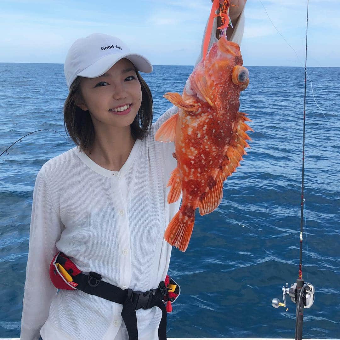 美舞さんのインスタグラム写真 - (美舞Instagram)「☆ . 絵に描いたような綺麗な #カサゴ ♡ 私が釣りを始めて 初めて釣った魚は カサゴ。 手のひらに乗るカサゴ だったのに、 今では こんなに大きな 大きな カサゴ  を釣れるようになりました。 久々すぎる二連休は 釣りづくし 🐠🐡 みんなで食べるのが幸せなんだなぁ。 . #釣り #海釣り #船釣り #fukuoka #nagasaki #壱岐 #釣女 #釣りビジョン #プライベート #釣りガール #船酔い #つらい #悲しい #釣れたら復活」8月19日 19時11分 - mibuki__.39