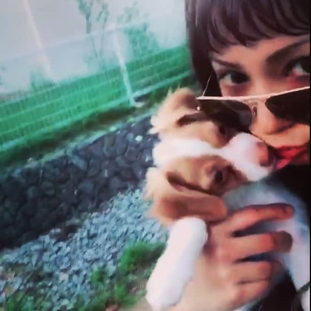 Arimeのインスタグラム：「昼にぉ家のまわりを散歩❤︎ まだ4ヶ月のラヴィ君です🐶  #沖縄 #散歩 #天気良い #気持ちいい #ひさしぶり」