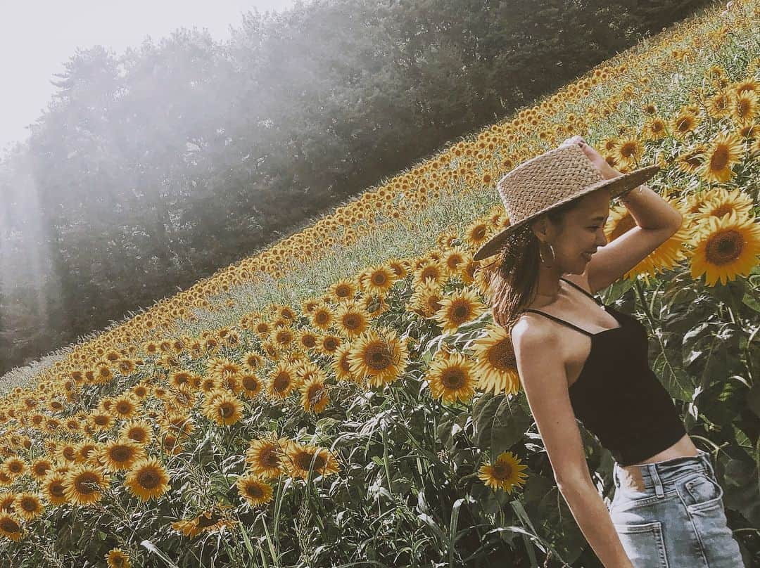 田中美彩のインスタグラム：「🌻🌻🌻🌻🌻」