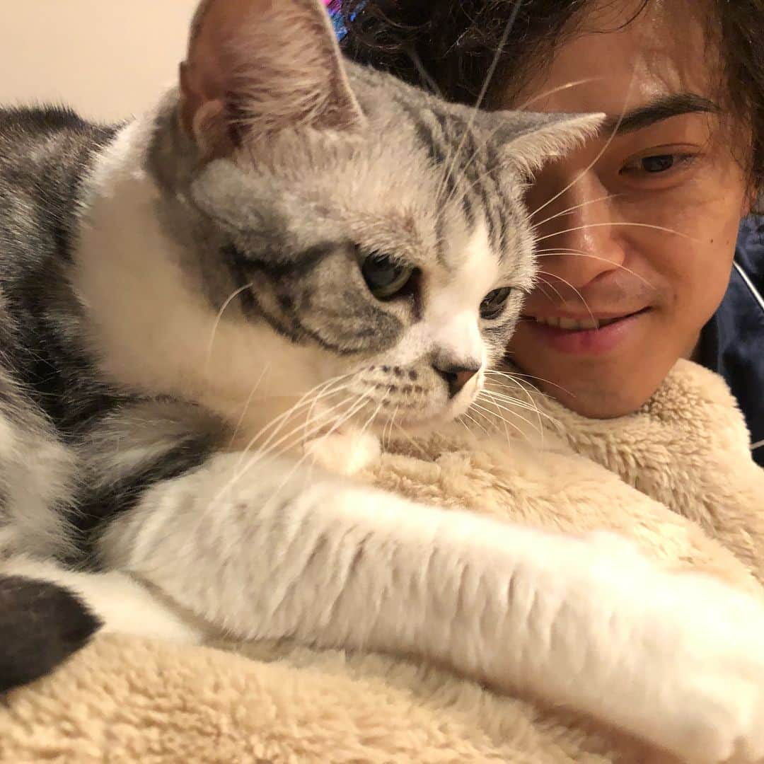 勝地涼さんのインスタグラム写真 - (勝地涼Instagram)「平和です😸😺😽 32歳の勝地もよろしくね🤟✌️」8月19日 23時26分 - ryo.katsuji.official