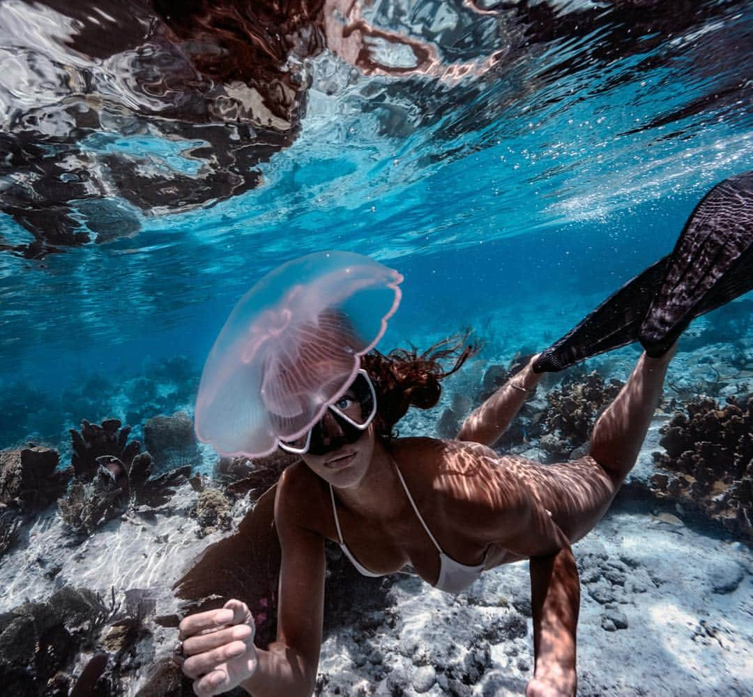 Elena Kalisさんのインスタグラム写真 - (Elena KalisInstagram)「Most jellyfish stings can be treated as follows: Rinse the area with vinegar. Carefully pluck visible tentacles with a fine tweezers. Soak the skin in hot water. Use water that's 110 to 113 F (43 to 45 C). @giuliacalcaterra is having a close look 👀」8月19日 23時57分 - elenakalis