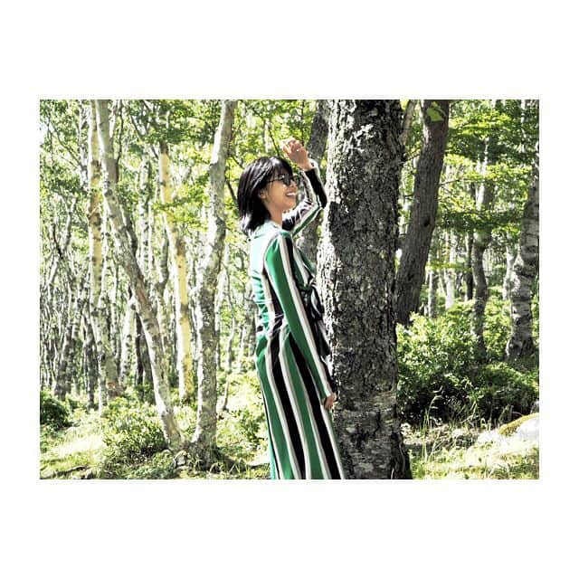 田中美麗さんのインスタグラム写真 - (田中美麗Instagram)「🌳🌲 #japan #shirakaba #白樺の木 #緑 #camera #orinpas #green #山 #包帯ぐるぐる #もはやおしゃれに見える #首元 #fashion #緑シリーズ #自然 #naturel #森」8月20日 13時14分 - mirei_tanaka_
