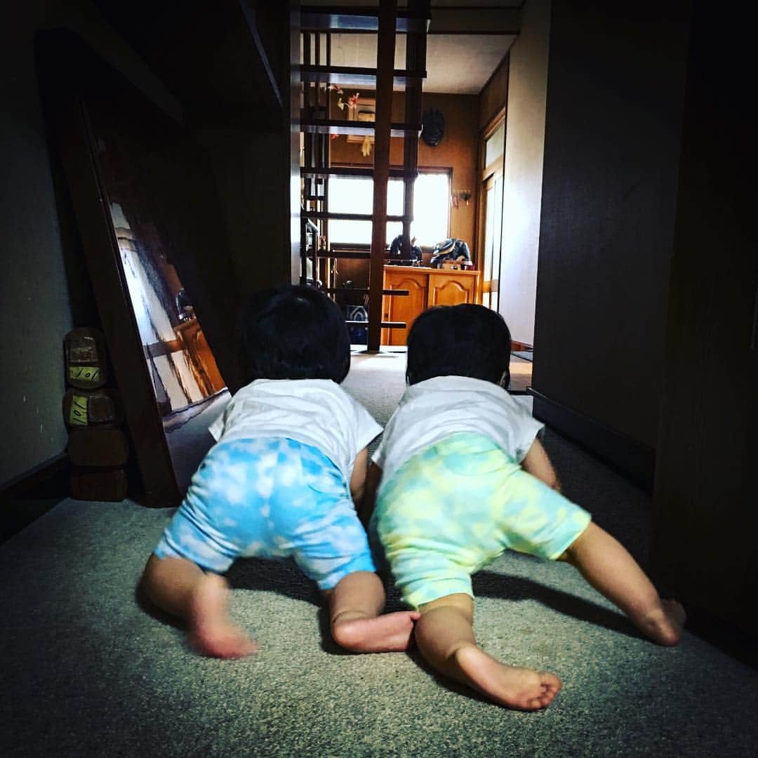 タニザワトモフミのインスタグラム：「なかよしのおふたり。 2人でくっついてなにやら遊んでいる様子が、大変興味深い。  #双子 #Twins」