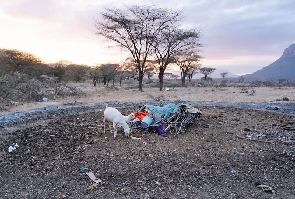 齊藤英里さんのインスタグラム写真 - (齊藤英里Instagram)「ケニアのサンブル族の村に来ています！ カルチャーショックが大きくてちょっと放心状態~、、、(;_;) 寝る時や食事はまだ慣れないけど、子供たちから元気をもらってるよ☺︎ ・ ・ ・ #出川澤部の見知らぬ二人が人生交換したら○○がわかった！ 【放送日】 ９月１６日（日）午後２時～３時２４分 TBS系11局で放送」8月20日 22時37分 - erisaito.official