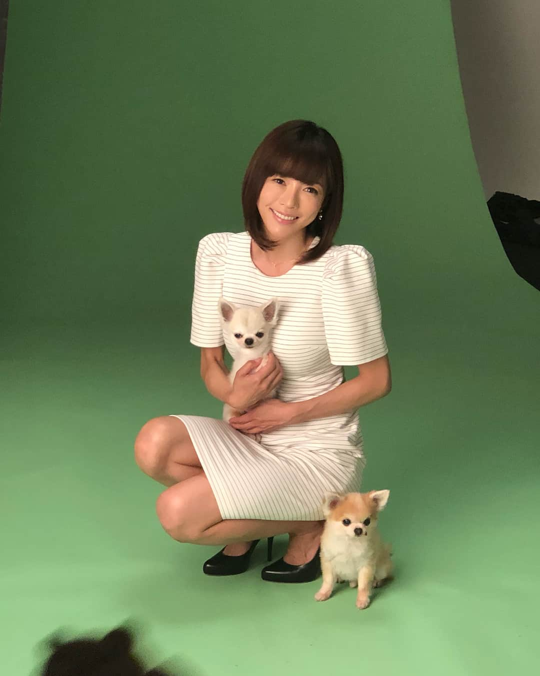 釈由美子さんのインスタグラム写真 - (釈由美子Instagram)「いま発売中の 『週刊現代〜お盆明け特大号』のコーナー【第四百四回：人生の相棒】 はるとくぅと一緒に載っています☺️💕 ぜひご覧ください❤️ #週刊現代 さん #人生の相棒 #はるくぅ❤️ #ようやく涼しくなってきた #元気いっぱい✨」8月21日 13時18分 - yumikoshaku