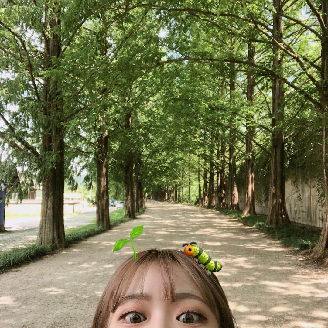 ウィ・ソンヒさんのインスタグラム写真 - (ウィ・ソンヒInstagram)「빼꿈🌱🐛」8月21日 14時09分 - _seong_hee