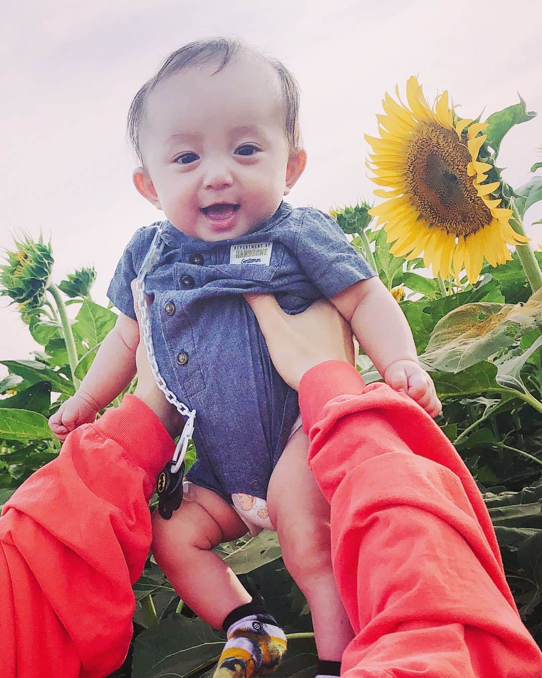 ダーブロウ有紗さんのインスタグラム写真 - (ダーブロウ有紗Instagram)「🌻🌻🌻🌻 ふみ親子とお出掛け✨ 幼なじみになるね👩‍👦‍👦👬 ・ ・ #ひまわり畑」8月21日 14時39分 - alisadurbrow